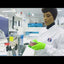 Video showing laboratory testing process